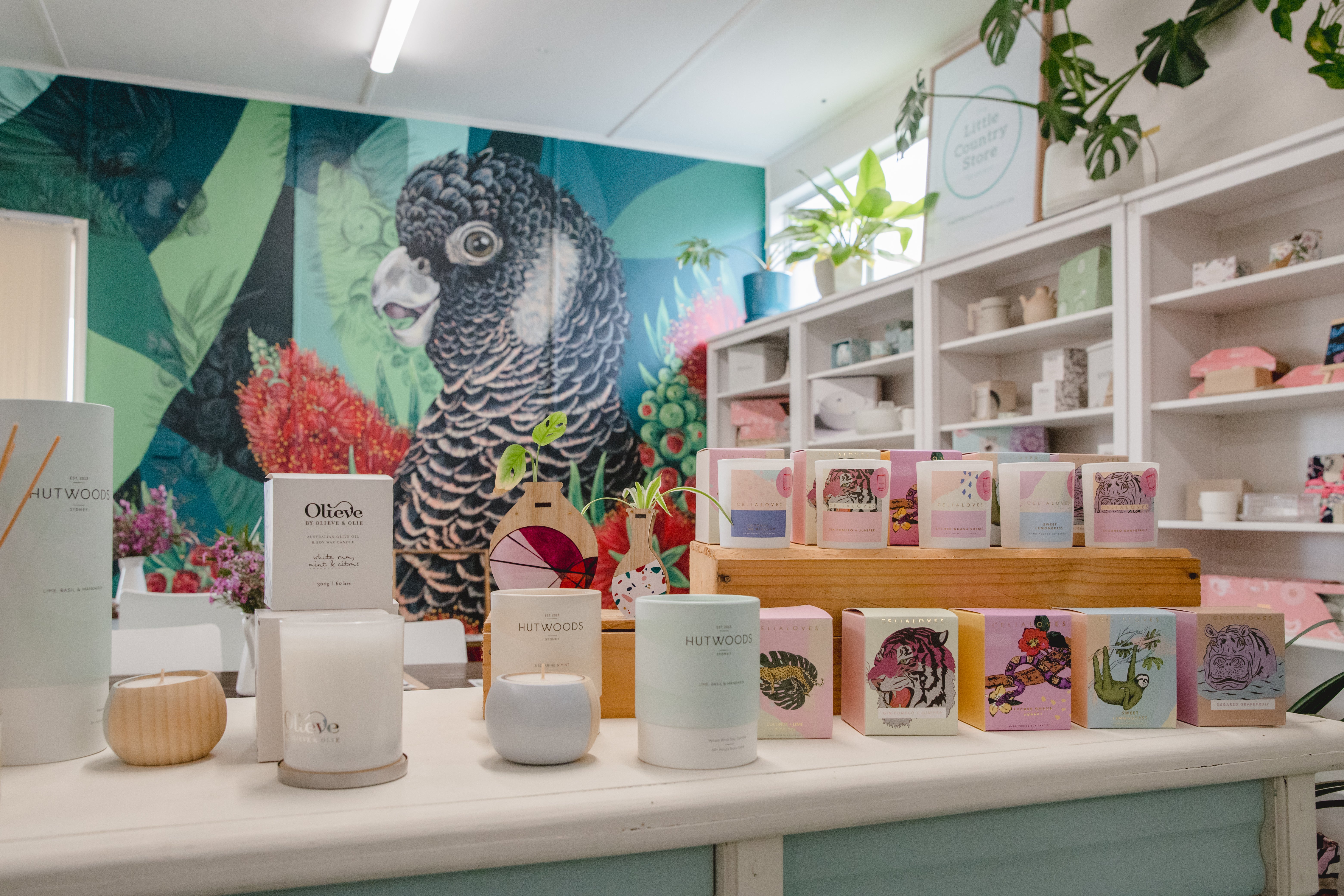 House & Home – The Little Country Store