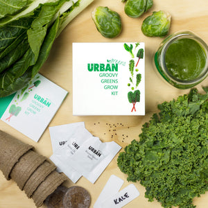 Urban Greens Groovy greens grow kit